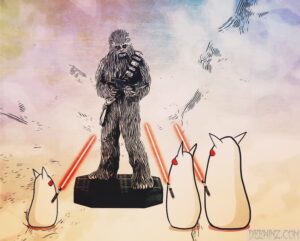 ©Kathleen Plasko